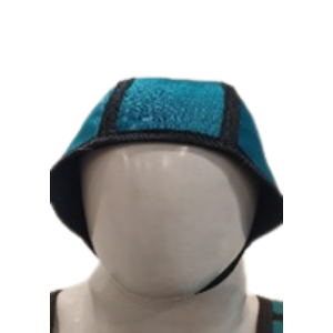 https://horizonhealthcare.org.in/wp-content/uploads/2025/01/Cordon-Radcap-full-head-1.png